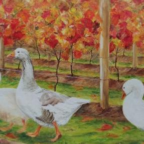 Geese, Grape vines, wine, garden, Autumn colours
